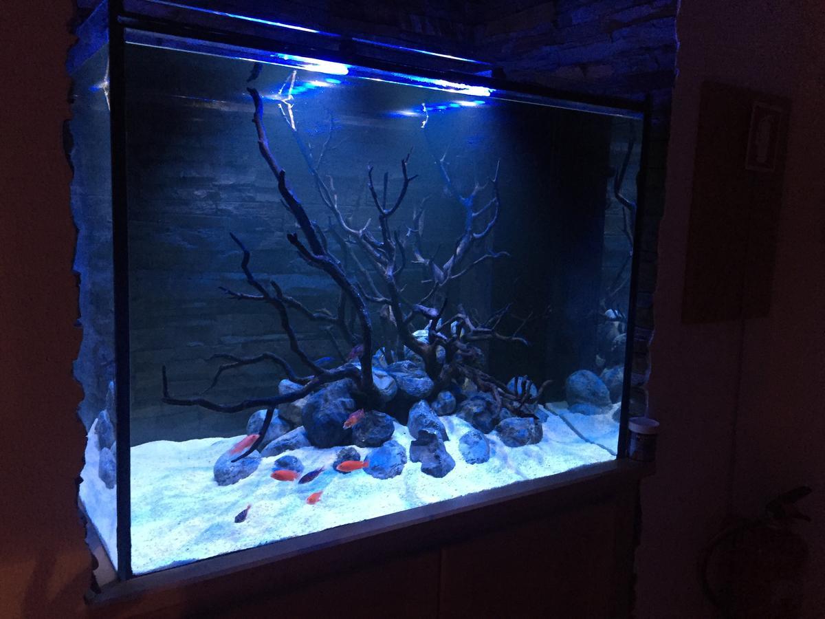 Aquarium House Apartment เซซิมบรา ภายนอก รูปภาพ
